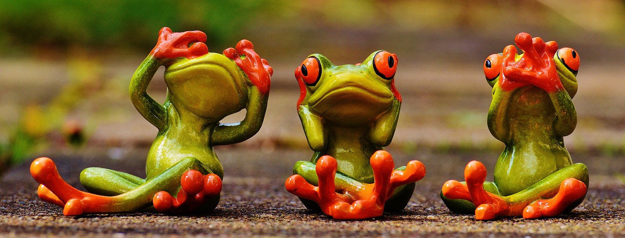 frogs-1274769-1280.1.63a0958619f94